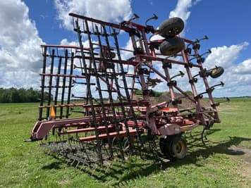 Main image Sunflower 5035